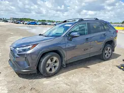 2T3W1RFV0RC259709 2024 TOYOTA RAV 4