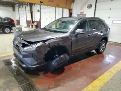 2T3W1RFV0RW303531 2024 TOYOTA RAV 4