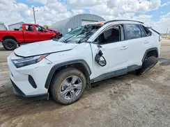 2T3W1RFV0RW306008 2024 TOYOTA RAV 4