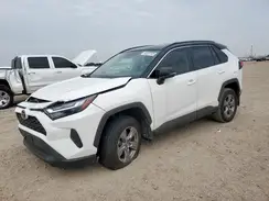 2T3W1RFV0RW313072 2024 TOYOTA RAV 4