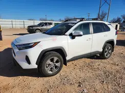 2T3W1RFV0RW315436 2024 TOYOTA RAV 4