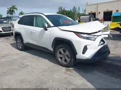 2T3W1RFV0RW338618 2024 TOYOTA RAV 4