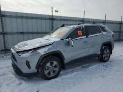 2T3W1RFV0RW357041 2024 TOYOTA RAV 4