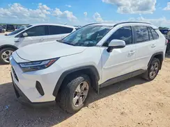 2T3W1RFV0RW363101 2024 TOYOTA RAV 4