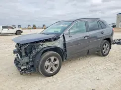 2T3W1RFV0RW364202 2024 TOYOTA RAV 4