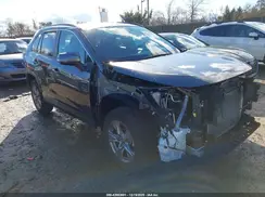 2T3W1RFV0SC310843 2025 TOYOTA RAV 4