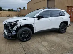 2T3W1RFV0SC343891 2025 TOYOTA RAV 4