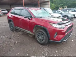 2T3W1RFV1KC023205 2019 TOYOTA RAV 4