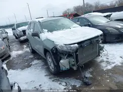 2T3W1RFV1KW019623 2019 TOYOTA RAV 4