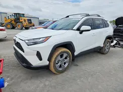 2T3W1RFV1PC214503 2023 TOYOTA RAV 4