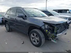 2T3W1RFV1PC225646 2023 TOYOTA RAV 4