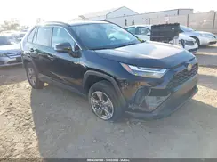 2T3W1RFV1PC242625 2023 TOYOTA RAV 4