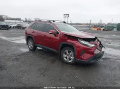 2T3W1RFV1PW239531 2023 TOYOTA RAV 4