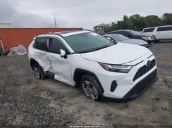 2T3W1RFV1PW254479 2023 TOYOTA RAV 4