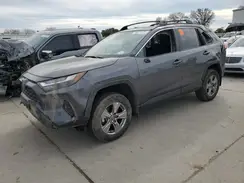 2T3W1RFV1PW270505 2023 TOYOTA RAV 4