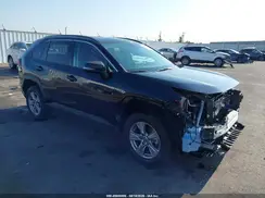 2T3W1RFV1PW273274 2023 TOYOTA RAV 4