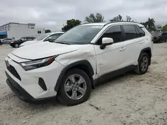 2T3W1RFV1RC265129 2024 TOYOTA RAV 4