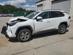 2T3W1RFV1RC271495 2024 TOYOTA RAV 4