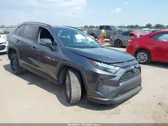 2T3W1RFV1RC296199 2024 TOYOTA RAV 4