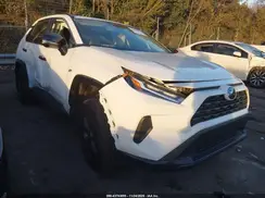 2T3W1RFV1RW336442 2024 TOYOTA RAV 4