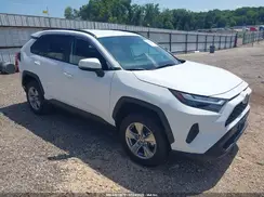 2T3W1RFV1RW343133 2024 TOYOTA RAV 4