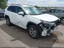 2T3W1RFV1RW344458 2024 TOYOTA RAV 4