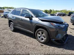 2T3W1RFV1RW353676 2024 TOYOTA RAV 4