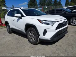 2T3W1RFV1SW383833 2025 TOYOTA RAV 4