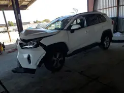 2T3W1RFV2KC022600 2019 TOYOTA RAV 4