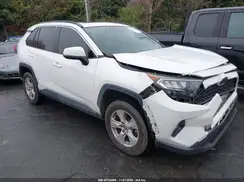 2T3W1RFV2KC032320 2019 TOYOTA RAV 4