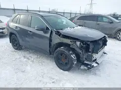 2T3W1RFV2KW009943 2019 TOYOTA RAV 4