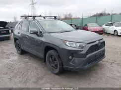 2T3W1RFV2LC035784 2020 TOYOTA RAV 4