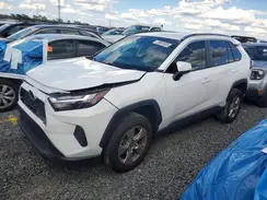 2T3W1RFV2PW243149 2023 TOYOTA RAV 4