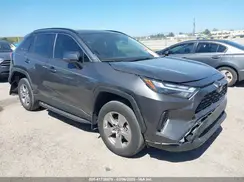 2T3W1RFV2PW250599 2023 TOYOTA RAV 4
