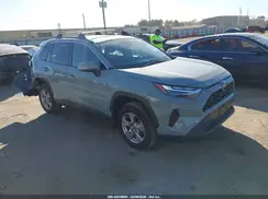 2T3W1RFV2PW257391 2023 TOYOTA RAV 4