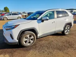 2T3W1RFV2PW286941 2023 TOYOTA RAV 4