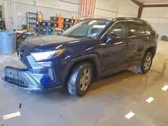 2T3W1RFV2PW291136 2023 TOYOTA RAV 4