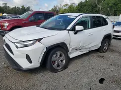 2T3W1RFV2RC294381 2024 TOYOTA RAV 4