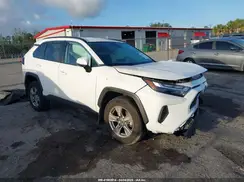 2T3W1RFV2RW337129 2024 TOYOTA RAV 4