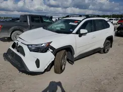 2T3W1RFV2RW347160 2024 TOYOTA RAV 4