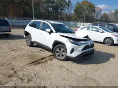 2T3W1RFV2SC314103 2025 TOYOTA RAV 4