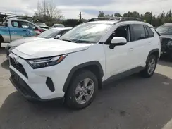 2T3W1RFV3PW260283 2023 TOYOTA RAV 4
