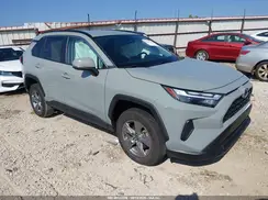 2T3W1RFV3PW265063 2023 TOYOTA RAV 4
