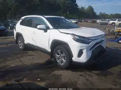 2T3W1RFV3RC262524 2024 TOYOTA RAV 4