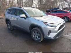 2T3W1RFV3RW303166 2024 TOYOTA RAV 4
