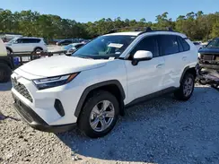 2T3W1RFV3RW342422 2024 TOYOTA RAV 4