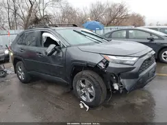 2T3W1RFV3RW344025 2024 TOYOTA RAV 4