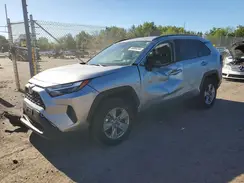 2T3W1RFV3SC329905 2025 TOYOTA RAV 4