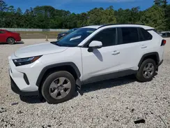 2T3W1RFV3SC354433 2025 TOYOTA RAV 4