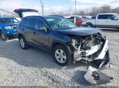 2T3W1RFV4KW046427 2019 TOYOTA RAV 4